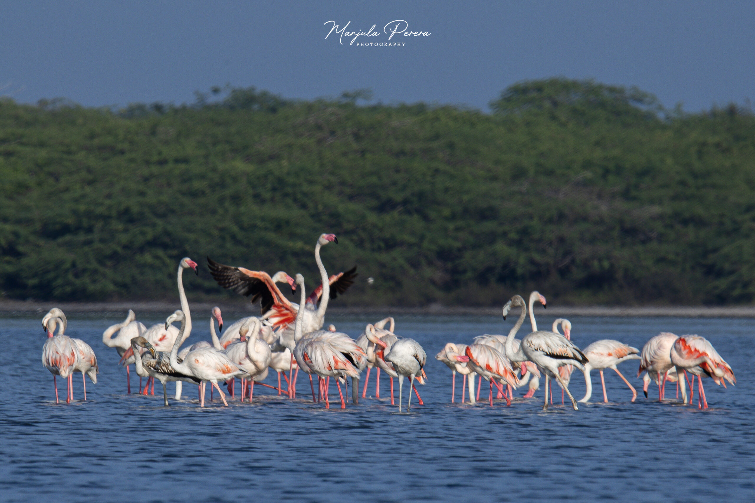 IMG_0366 – EN