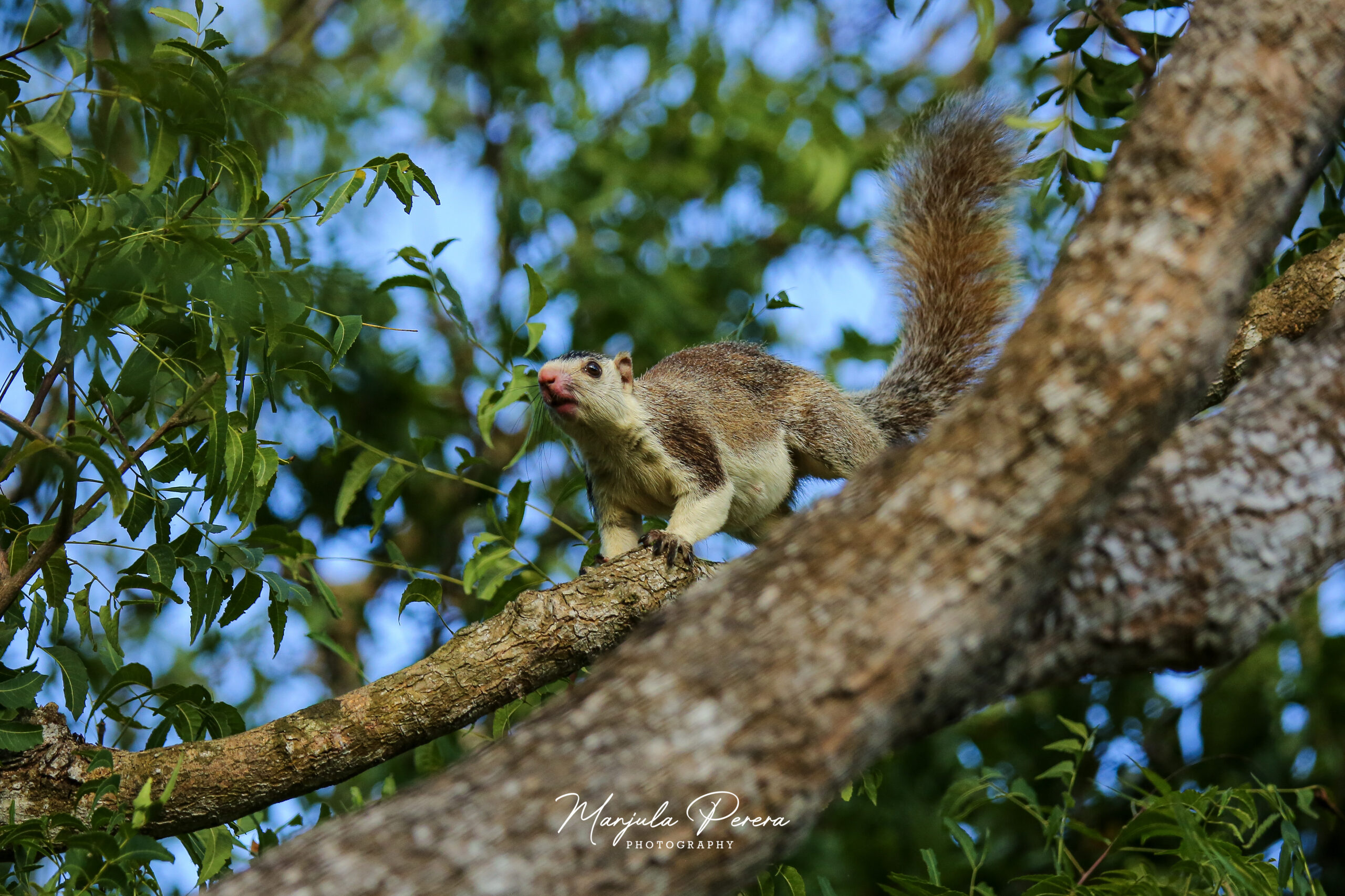 IMG_0926 -EN