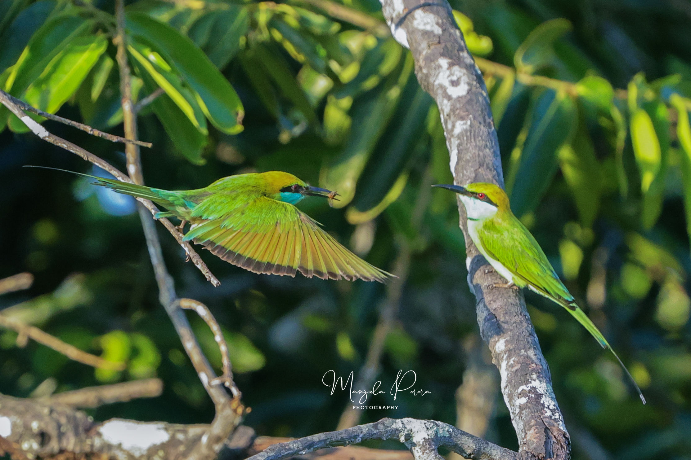 IMG_1363 – EN