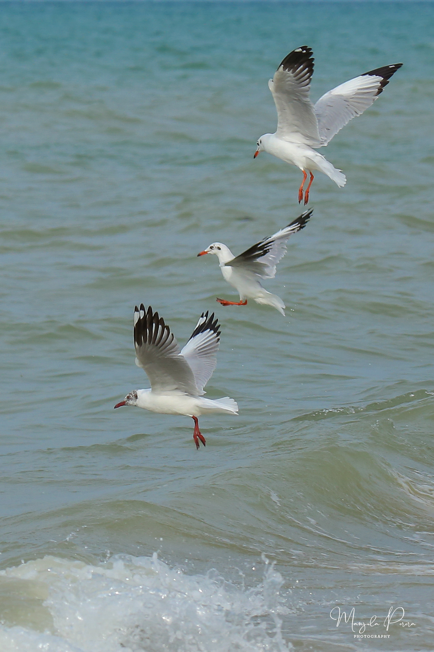 IMG_9930 – EN