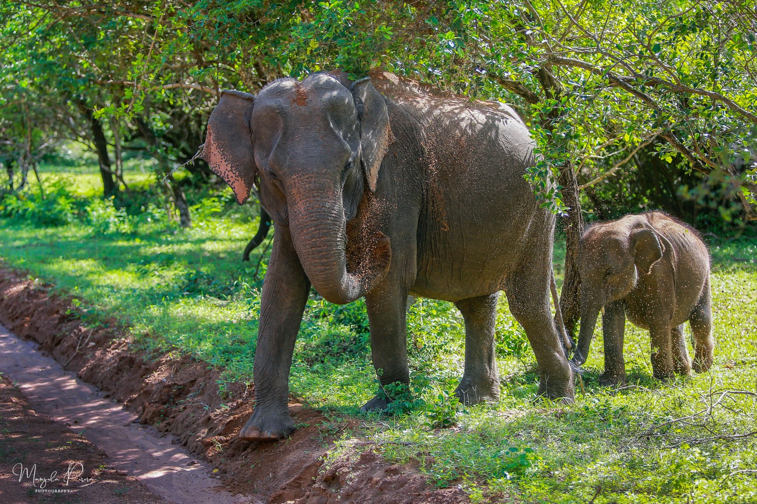 Mother’s Care – E
